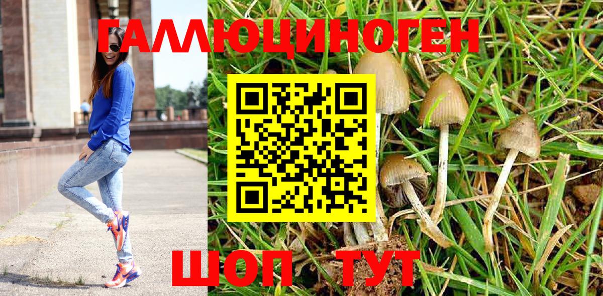 Алушта  Псилоцибиновые грибы Psilocybine cubensis  Вход с VPN 